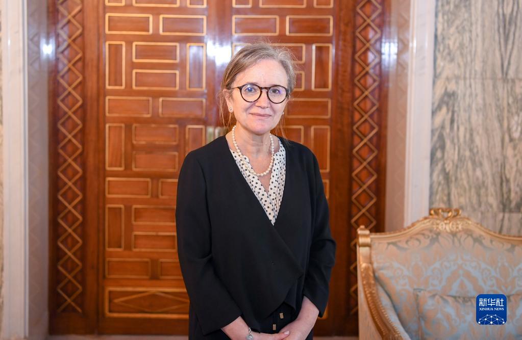 突尼斯总统任命新总理