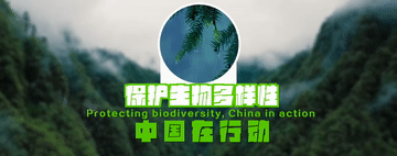 (创意短片)保护生物多样性 中国在行动