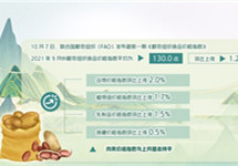 全球食品价格进一步上扬